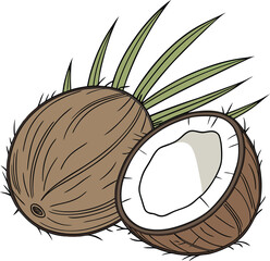 Coconut vector illustration isolated on white background, perfect for tropical designs, food packaging, summer themes, exotic branding, and nature-inspired creative projects.

