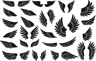 Wings logo set. Vector illustration