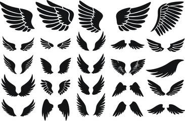 Wings logo set. Vector illustration