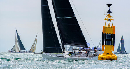 Sailing yachts regatta. Yachting. Sailing race	
