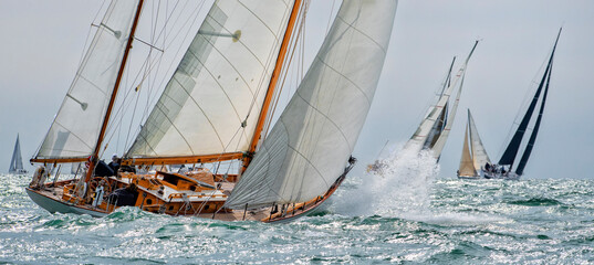 Sailing yachts regatta. Yachting. Sailing race   © Alvov