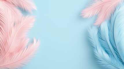 Obraz premium Soft pink and blue feathers on pastel background with copy space. Gentle decor