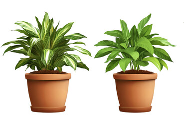 Fototapeta premium Fresh Green Foliage in Decorative Ceramic Planters