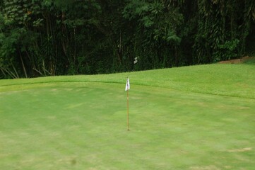Signal white flag for the green on a golf hole at the golf course.