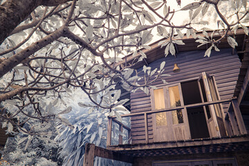 Infrared photography, a wooden house with an open balcony, partly surrounded by branches and leaves