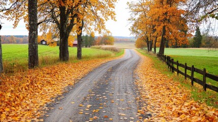 Obraz premium Serene autumn landscape featuring a winding dirt road lined with colorful foliage and fields
