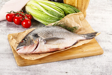 Raw dorada fish served rosemary