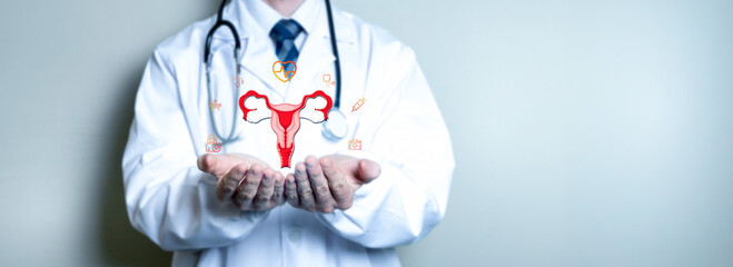 healthy female concept, uterus reproductive system, women's health, polycystic ovary syndrome, gynecological ovarian and cervical cancer.
