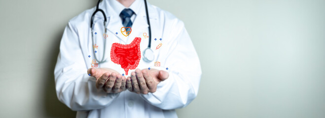 Concept of intestinal flora care, colon cancer, irritable bowel.