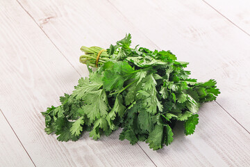 Fresh green cilantro branches heap