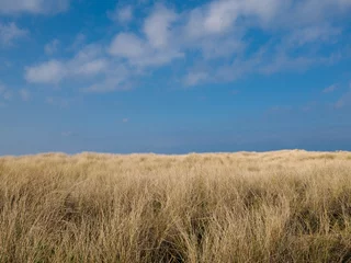Selbstklebende Fototapeten Duinen bij Egmond aan Zee, Noord-Holland province, The Netherlands © HollandPhotostock.nl