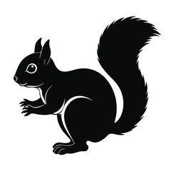 Squirrel Vector Illustration 