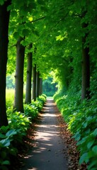Fototapeta premium Leaves cast dappled shadows on lush green walkway, foliage, nature, botany