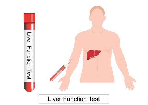 Liver function tests isolated on white.