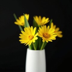 Fototapeta premium Yellow spikelets in a white vase on black background, petals, white, flowers