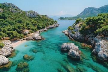 Serene Coastal Cove with Crystal Clear Waters and Lush Greenery