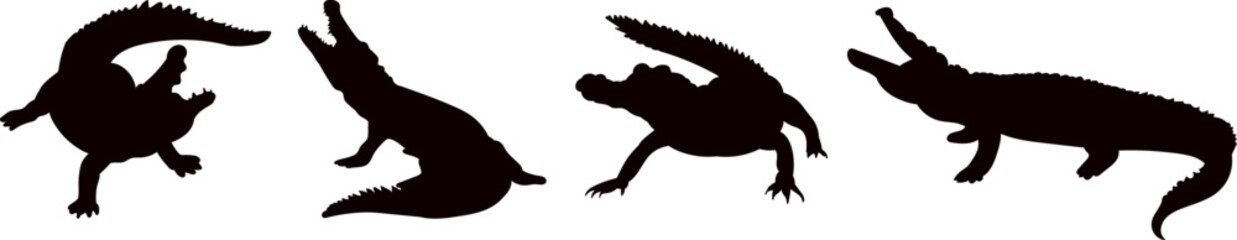 silhouette of a crocodile on a white background, vector