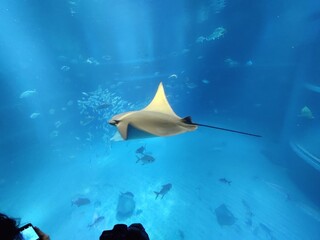 Osaka Beautiful city in the middle of Japan