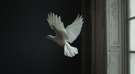 Fototapeta premium beautiful white dove flying against aesthetic wall 