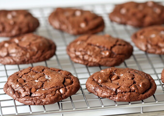 Fototapeta premium food photography French sweet cocoa cookies, color 2025