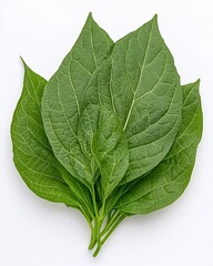 Obraz premium Fresh Green Leaves Arranged Neatly on a White Surface Showcasing Vibrant Color and Texture