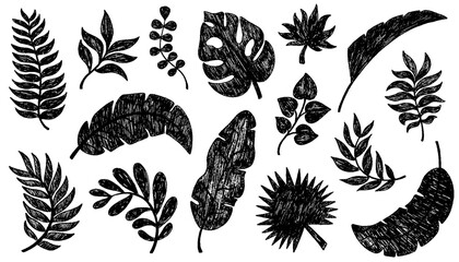 Palm leaves hand drawn crayon brush illustration. Chalk textured tropical jungle doodle shapes. Foliage tropical jungle leaves monstera, texture silhouette elements. Hand drawn grunge texture. Vector © PawLoveArt