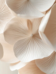 Flower Illustration / Close Up Photography