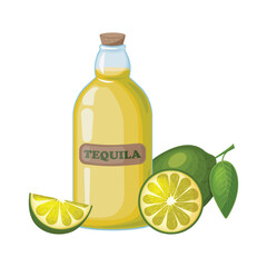 Tequila. The illustration shows a bottle with tequila and sliced lime. Strong alcoholic drink. A bottle of tequila and lime. Vector illustration.