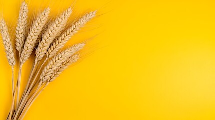 Golden Wheat Stalks on a Vibrant Yellow Background Creating a Seasonal Atmosphere