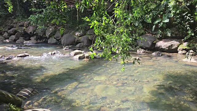 Rivi&egrave;re sauvage dans la jungle