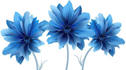 Obraz premium Three cornflowers