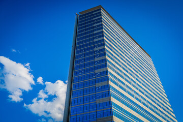 Obraz premium 青空にそびえる高層ビル