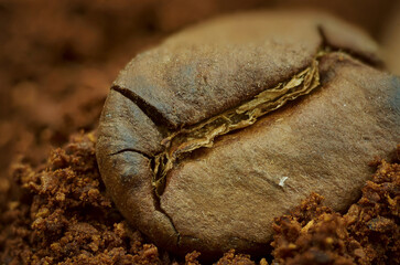 Roasted coffee beans very close-up amongst scattered ground coffee. Nice coffee colors, atmospheric...