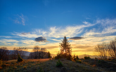 A stunning sunset over a grassy hilltop with scattered trees and a dramatic sky filled with wispy clouds, casting a golden glow over the peaceful landscape.