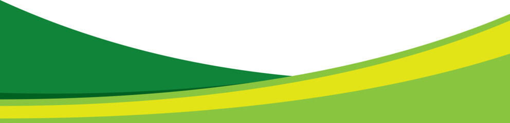 Business Curve Footer