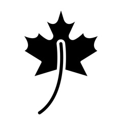 Maple Leaf glyph icon