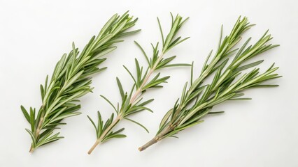 Fototapeta premium Rosemary Sprigs on White Background