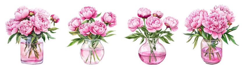 Watercolor set of pink peonies in vases png. Bouquet of pink peonies in a glass transparent vase with rose water. Watercolor bouquets in vases. Watercolor pink peonies. Vector illustration.