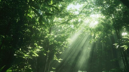 Obraz premium Green leaves illuminated by soft sunlight in a natural setting. Fresh air, botanical beauty, organic texture, nature's glow, outdoor environment, plant life, eco-friendly atmosphere. Generative AI