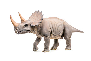 Obraz premium Dino triceratops isolated on white background
