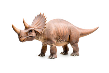 Fototapeta premium Dino triceratops isolated on white background