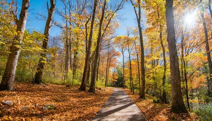 The Colors of Autumn: A Visual Symphony of Leaves Falling Through Nature's Seasonal Palette