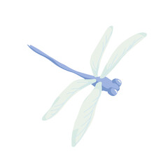 flying dragonfly on white background