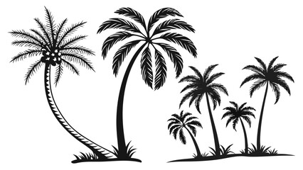 Escape to Tropical Serenity: Stunning Collection of Elegant Black Palm Tree Silhouettes in Monochrome
