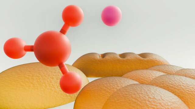 A 3d animation of potassium bromate molecules with bread. Potassium bromate was used in bread but is now banned due to health risks.