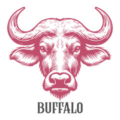 Highly detailed buffalo artwork in a black and white sketch style for use in branding, posters, and artistic projects