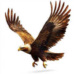 Soaring golden eagle with spread wings isolated on white background