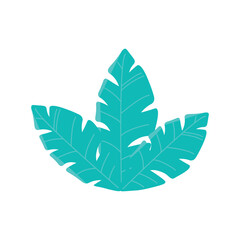 Vector illustration of tropical green leaves