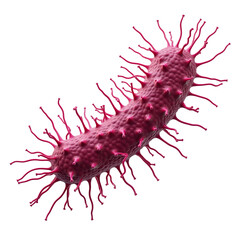 Bacterium with elongated shape, pink color, rough texture, filamentous structures extending from surface