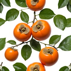 Ripe Persimmons on Branch with Green Leaves